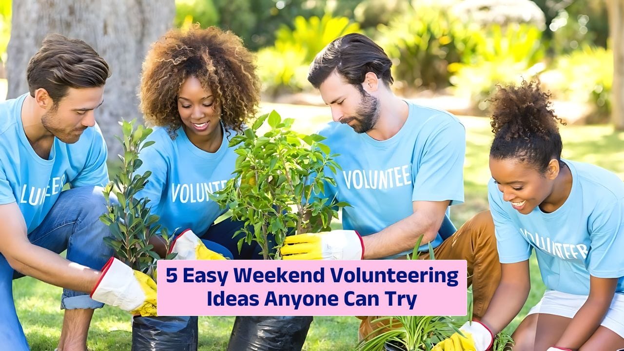 Volunteering Ideas