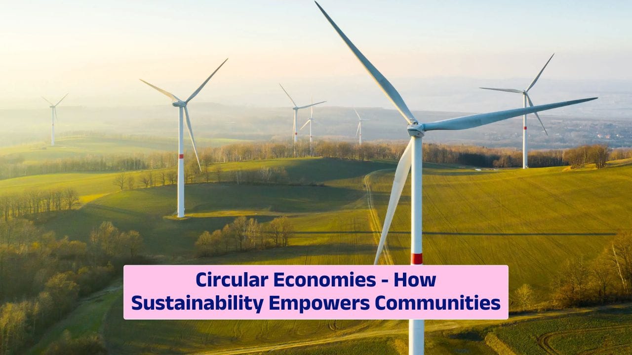 Circular Economies