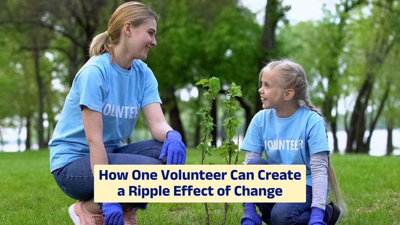Volunteer