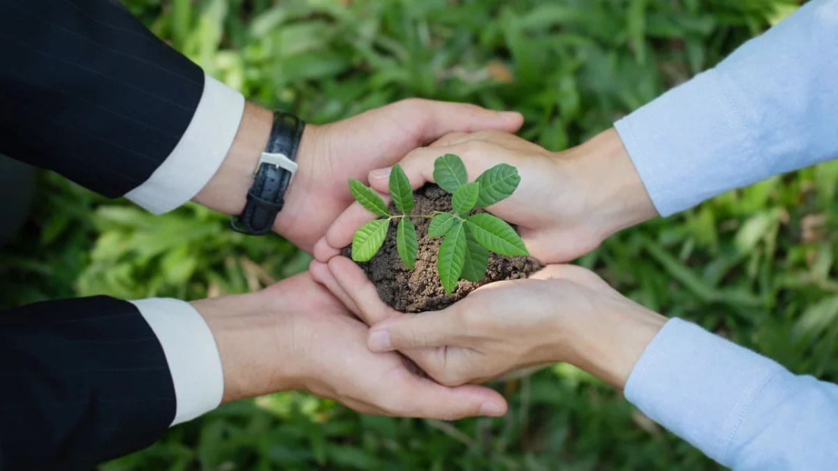 Sustainable Ways