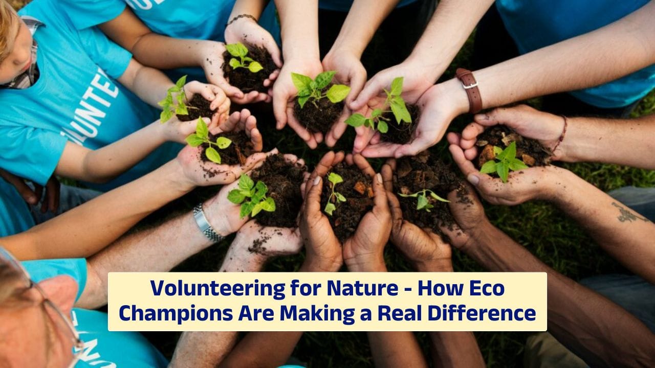Volunteering for Nature